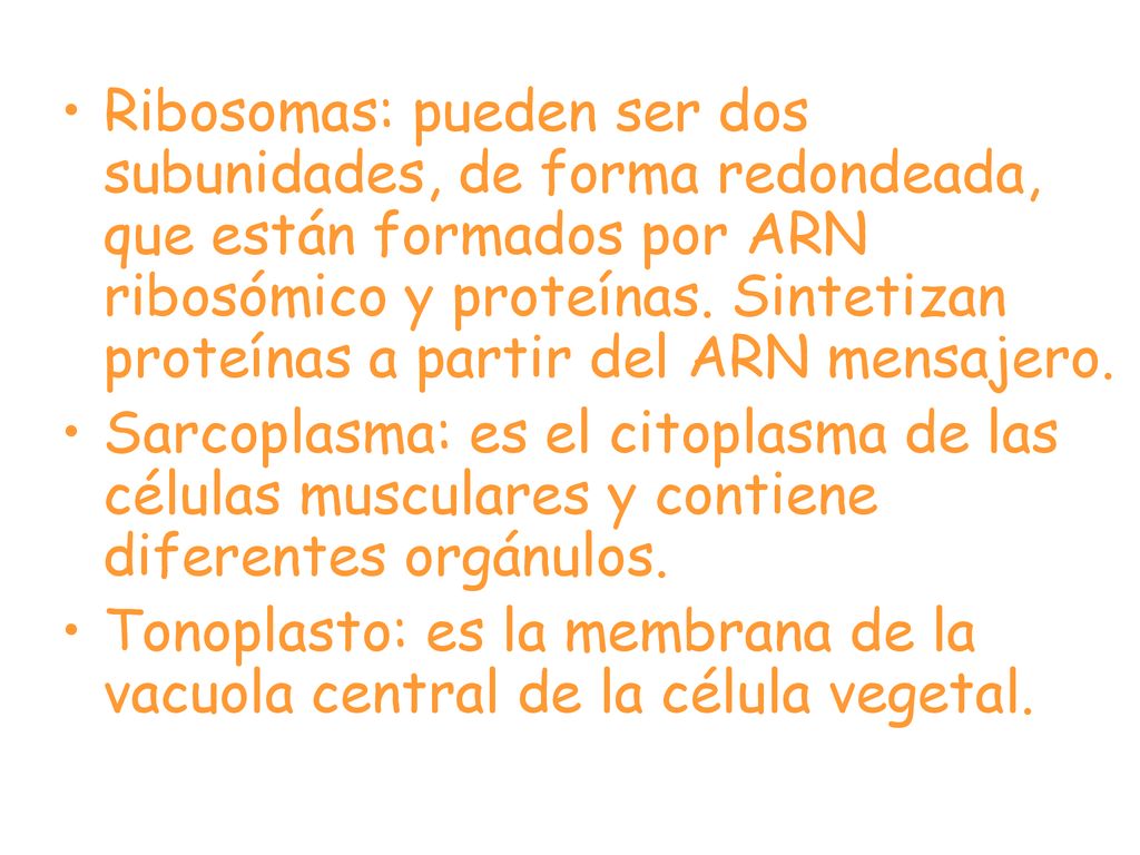 Ribosomas: pueden ser dos subunidades, de forma redondeada, que están formados por ARN ribosómico y proteínas. Sintetizan proteínas a partir del ARN mensajero.