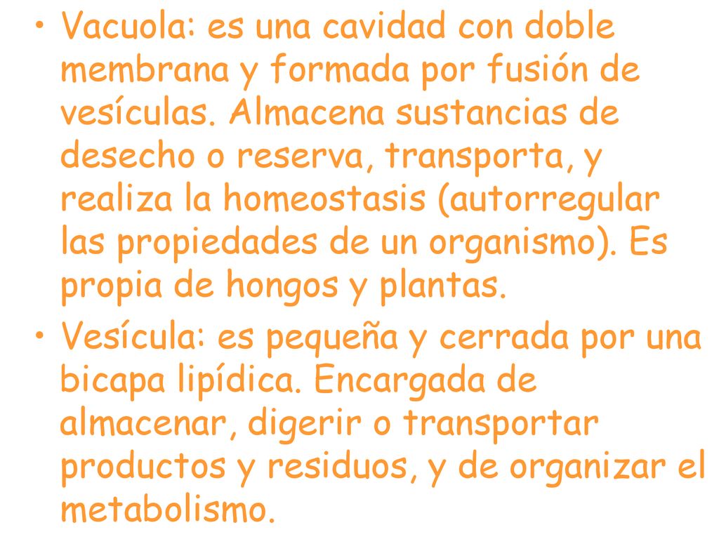 Vacuola: es una cavidad con doble membrana y formada por fusión de vesículas. Almacena sustancias de desecho o reserva, transporta, y realiza la homeostasis (autorregular las propiedades de un organismo). Es propia de hongos y plantas.