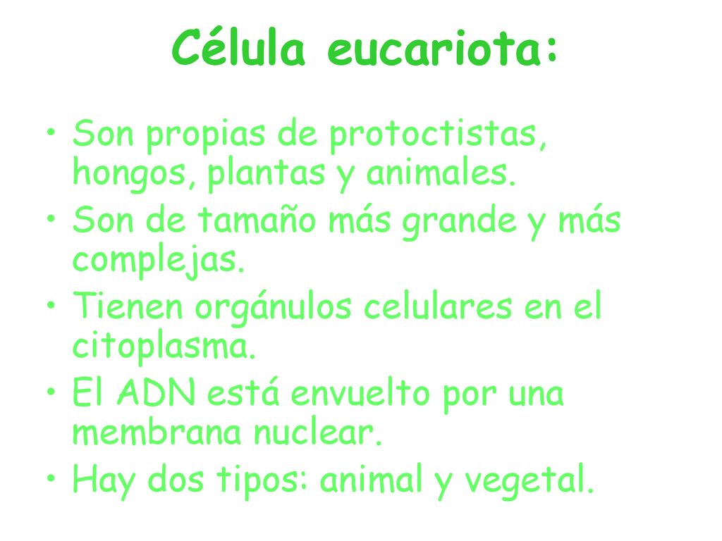 Célula eucariota: Son propias de protoctistas, hongos, plantas y animales. Son de tamaño más grande y más complejas.
