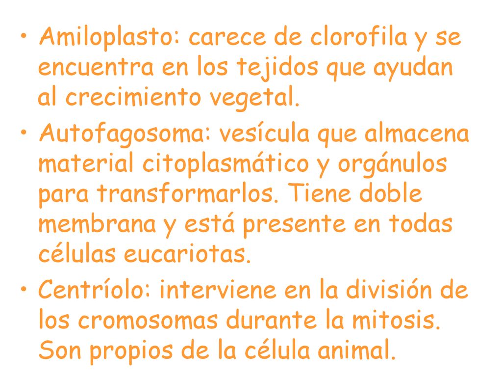 Amiloplasto: carece de clorofila y se encuentra en los tejidos que ayudan al crecimiento vegetal.