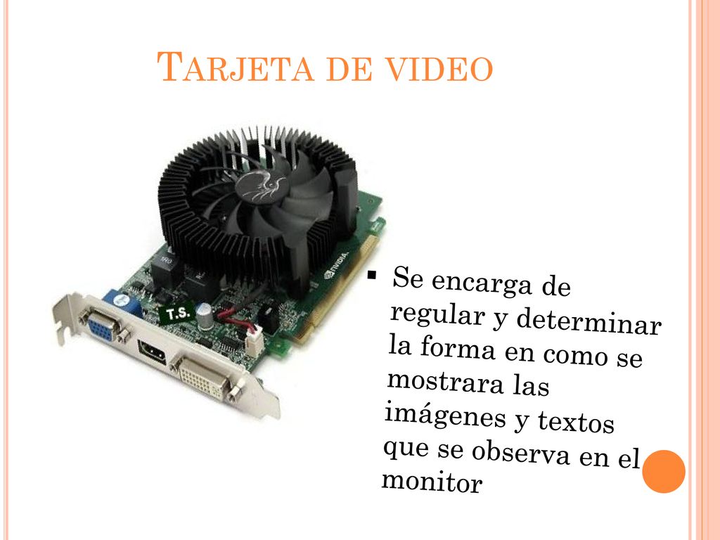 Tarjeta de video Se encarga de regular y determinar la forma en como se mostrara las imágenes y textos que se observa en el monitor.
