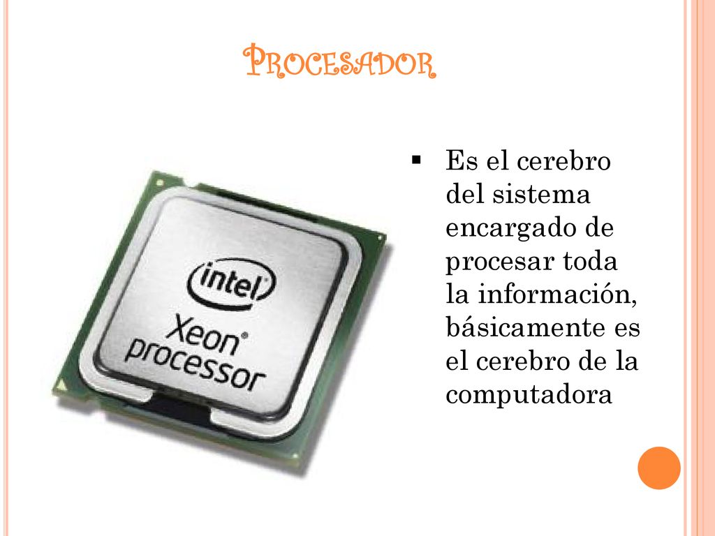 Procesador Es el cerebro del sistema encargado de procesar toda la información, básicamente es el cerebro de la computadora.