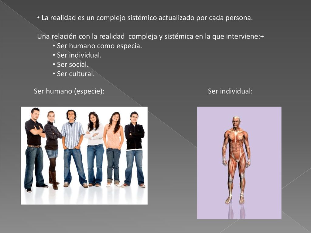 La realidad es un complejo sistémico actualizado por cada persona.