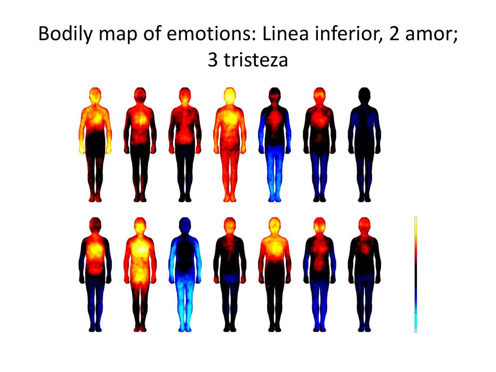 Bodily map of emotions: Linea inferior, 2 amor; 3 tristeza