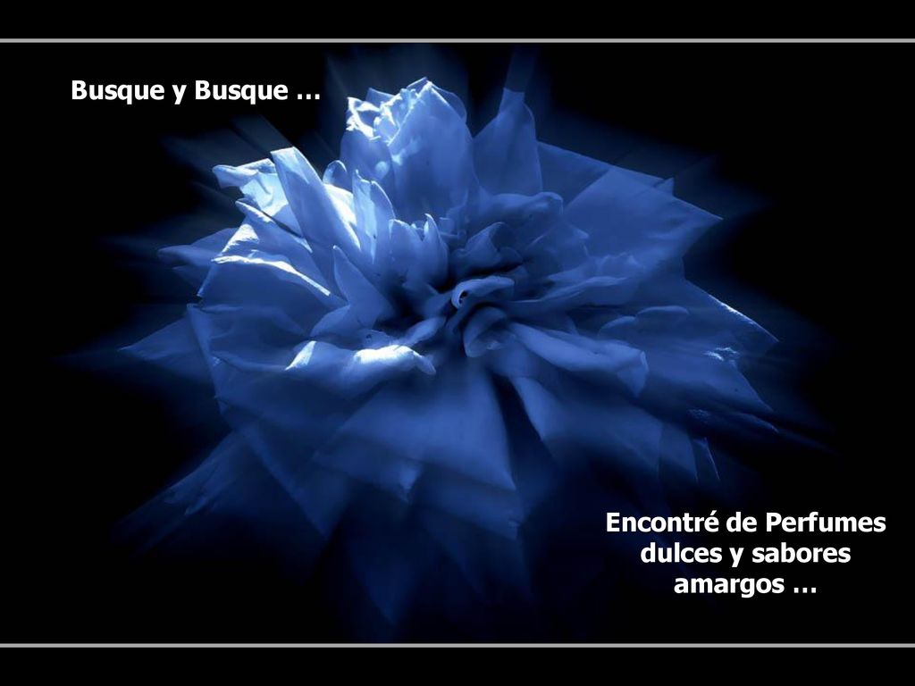 Busque y Busque … Encontré de Perfumes dulces y sabores amargos …