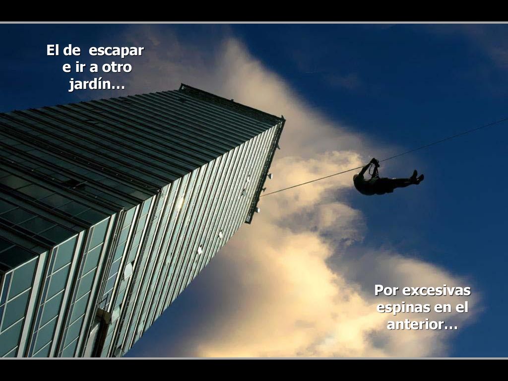 El de escapar e ir a otro jardín… Por excesivas espinas en el anterior…