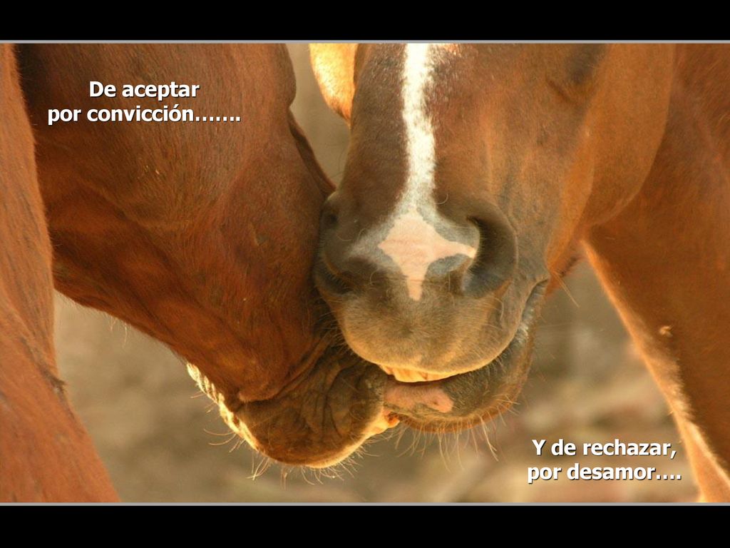 De aceptar por convicción……. Y de rechazar, por desamor….