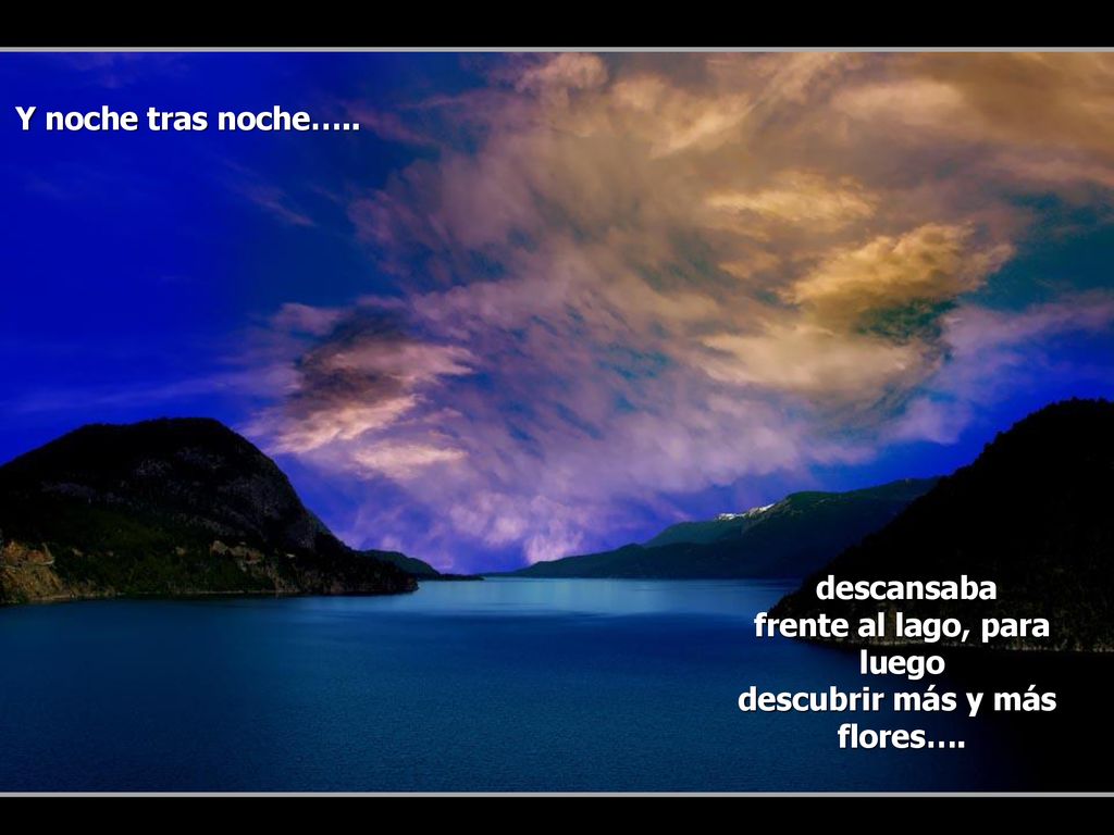 Y noche tras noche….. descansaba frente al lago, para luego descubrir más y más flores….
