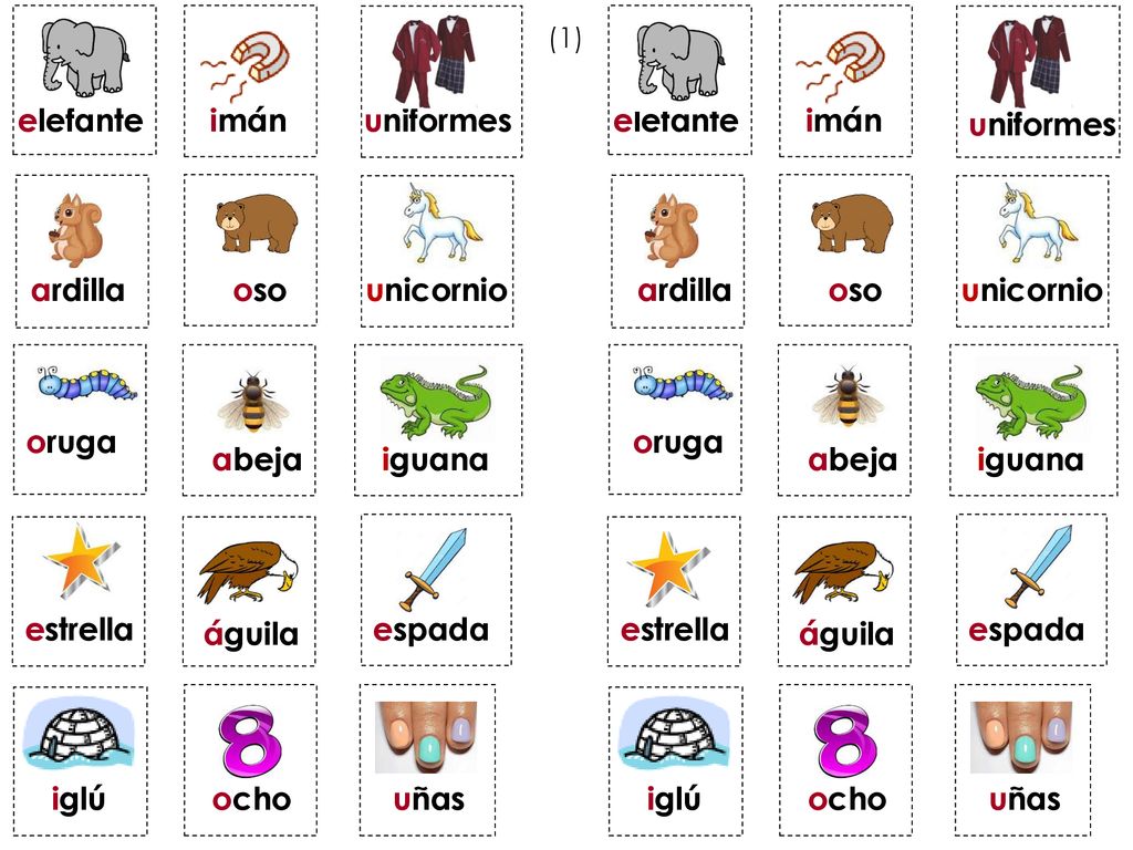 elefante imán uniformes elefante imán uniformes ardilla oso unicornio