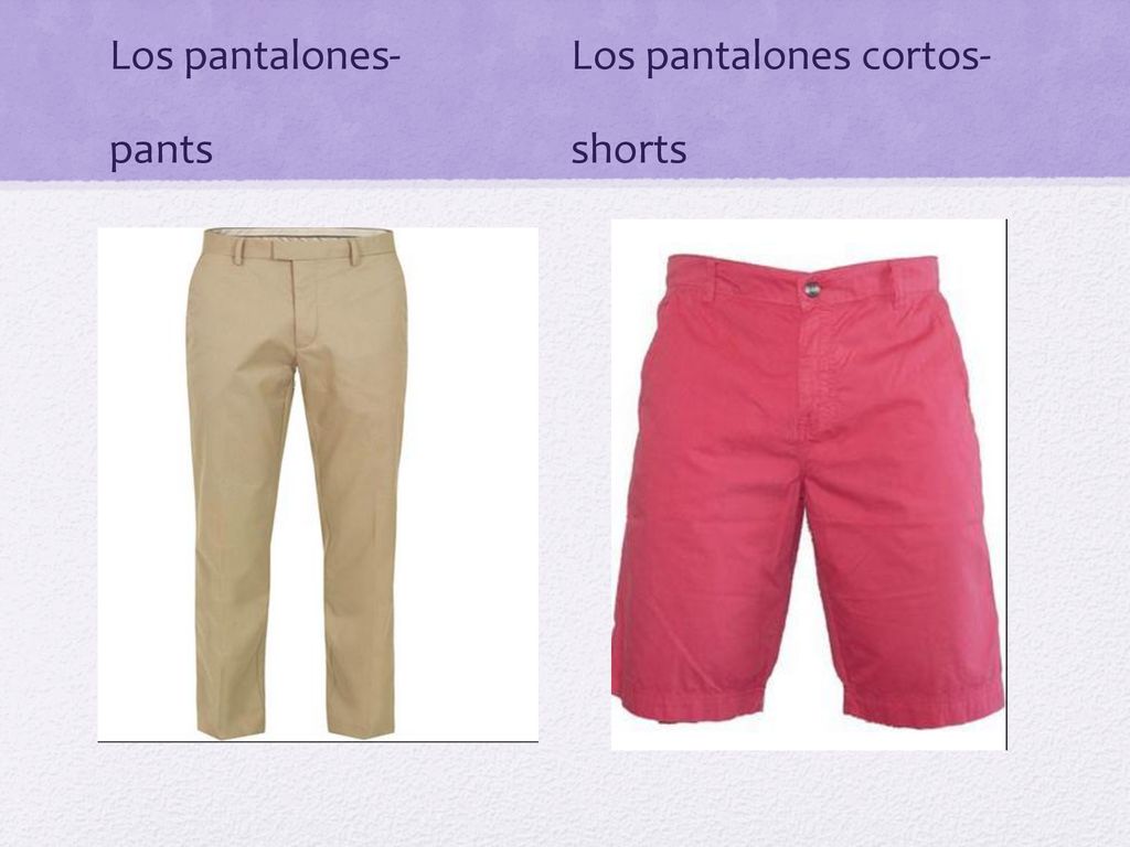 Los pantalones- Los pantalones cortos- pants shorts