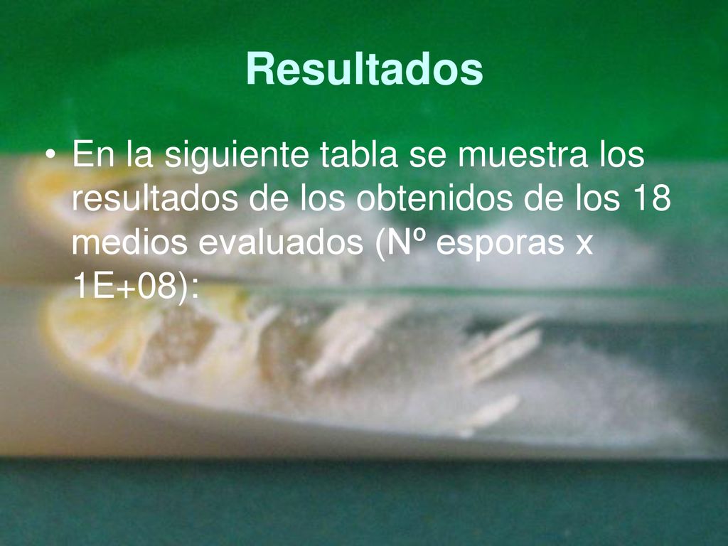 Resultados En la siguiente tabla se muestra los resultados de los obtenidos de los 18 medios evaluados (Nº esporas x 1E+08):