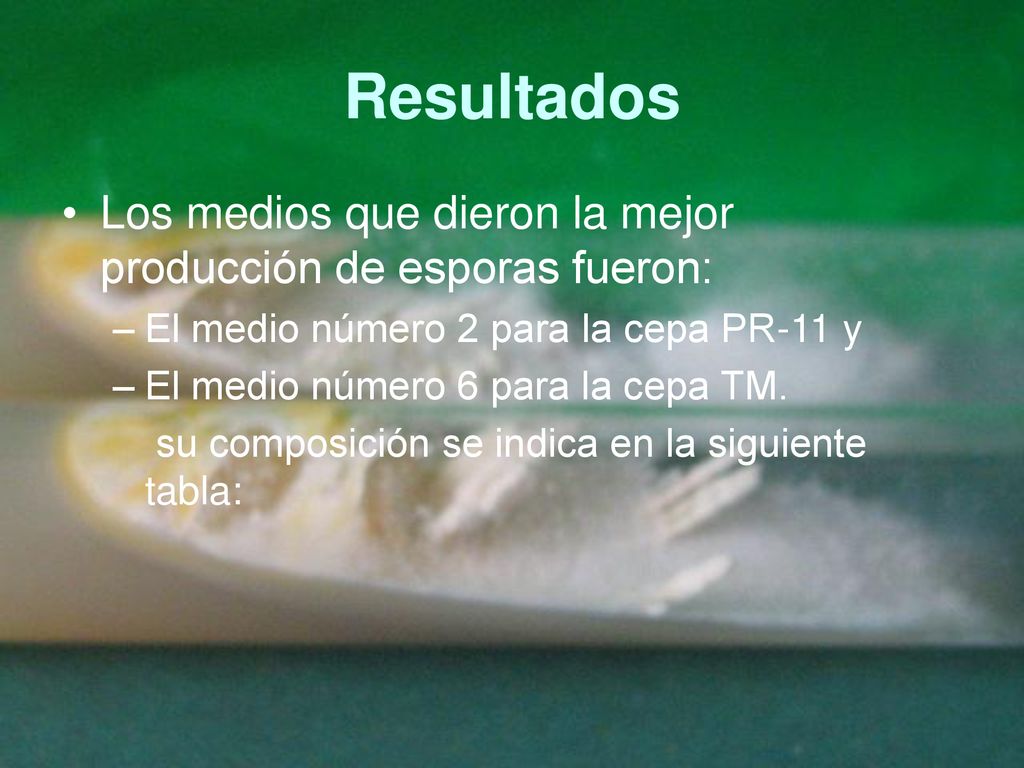 Resultados Los medios que dieron la mejor producción de esporas fueron: El medio número 2 para la cepa PR-11 y.
