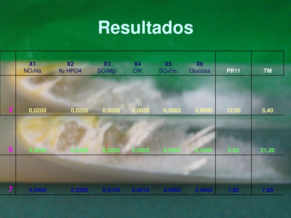 Resultados X1 NO3Na X2 K2 HPO4 X3 SO4Mg2 X4 ClK X5 SO4Fe2 X6