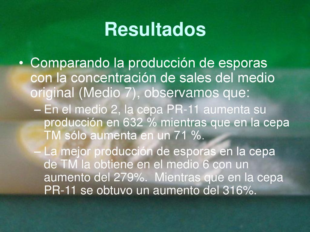 Resultados Comparando la producción de esporas con la concentración de sales del medio original (Medio 7), observamos que: