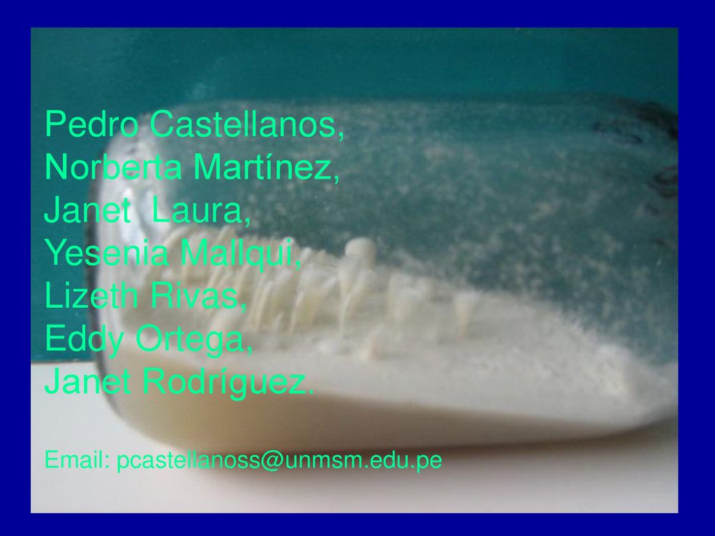 Pedro Castellanos, Norberta Martínez, Janet Laura, Yesenia Mallqui, Lizeth Rivas, Eddy Ortega, Janet Rodríguez.