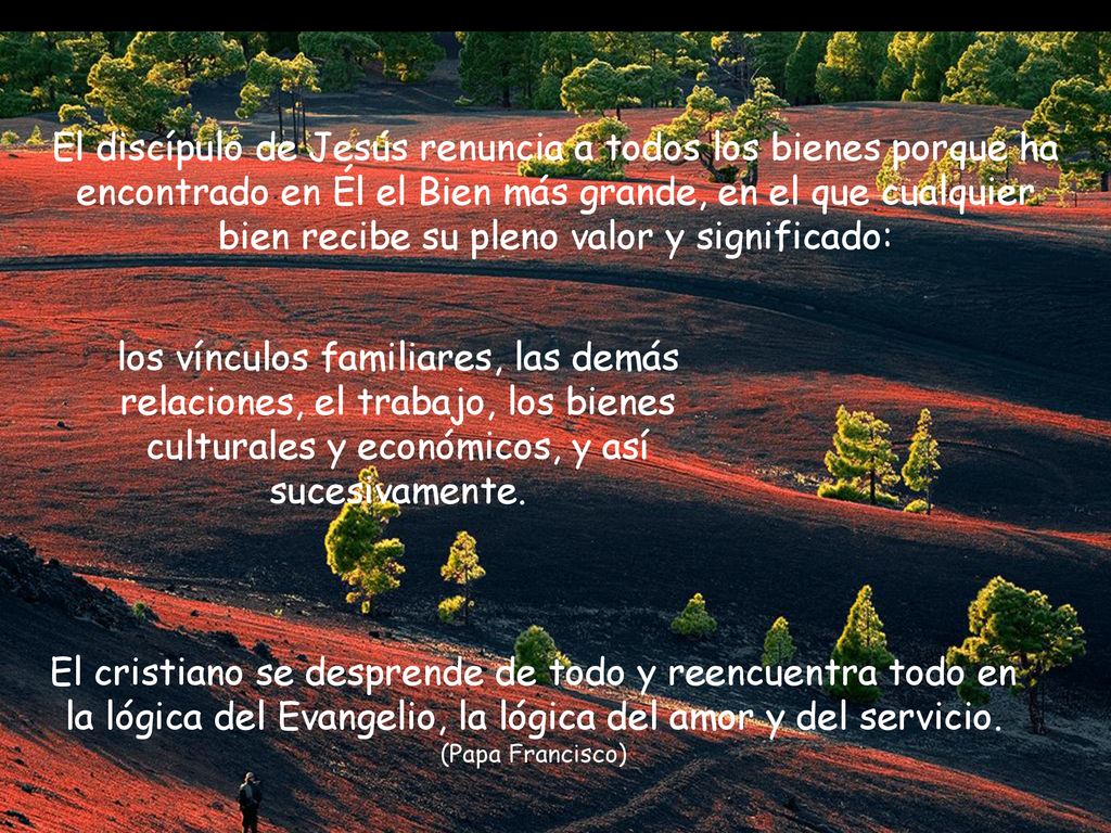 El discípulo de Jesús renuncia a todos los bienes porque ha encontrado en Él el Bien más grande, en el que cualquier bien recibe su pleno valor y significado: