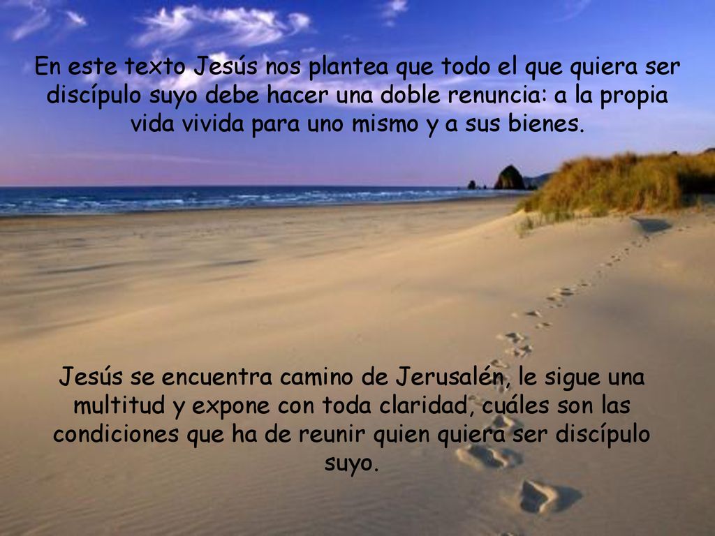 En este texto Jesús nos plantea que todo el que quiera ser discípulo suyo debe hacer una doble renuncia: a la propia vida vivida para uno mismo y a sus bienes.