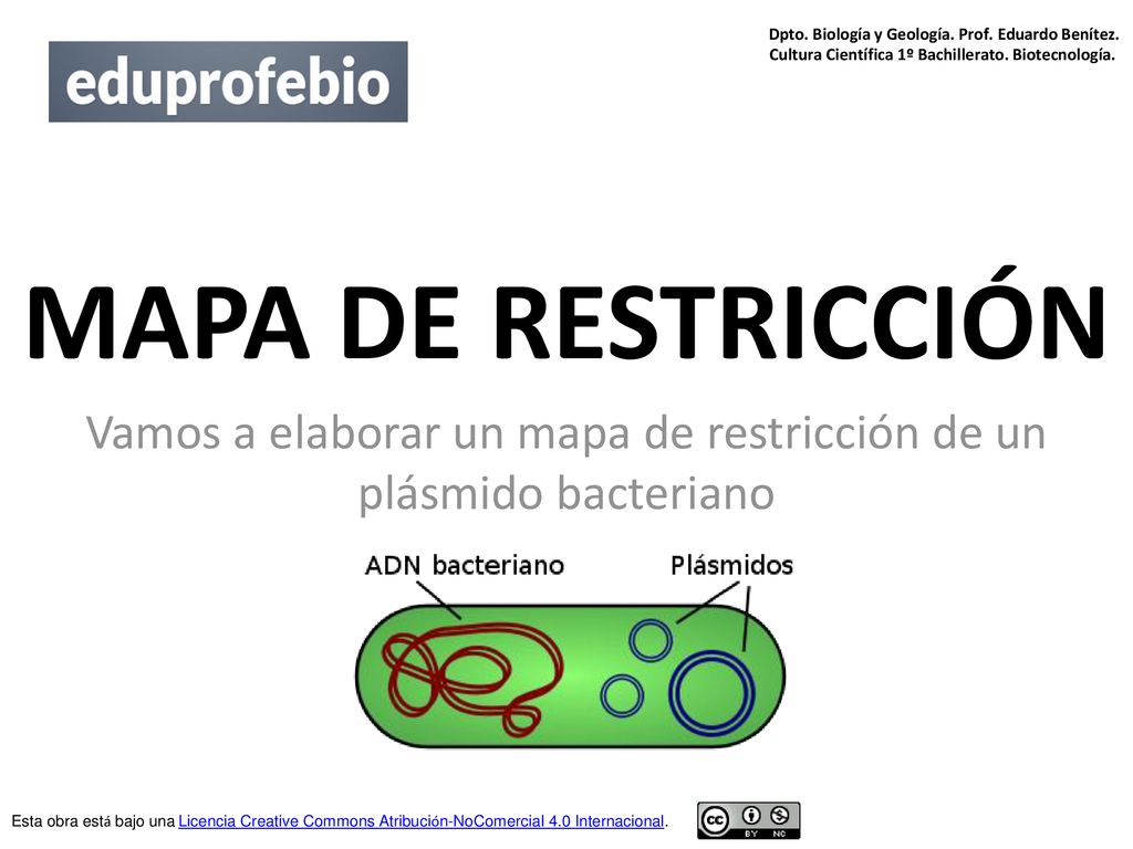 Vamos a elaborar un mapa de restricción de un plásmido bacteriano