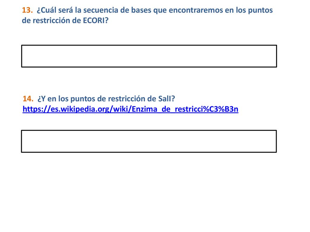 13. ¿Cuál será la secuencia de bases que encontraremos en los puntos de restricción de ECORI