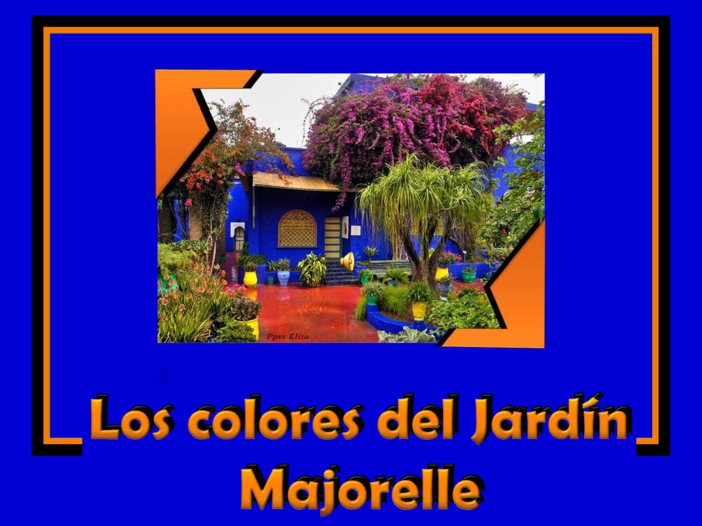 Los colores del Jardín Majorelle Los colores del Jardín Majorelle