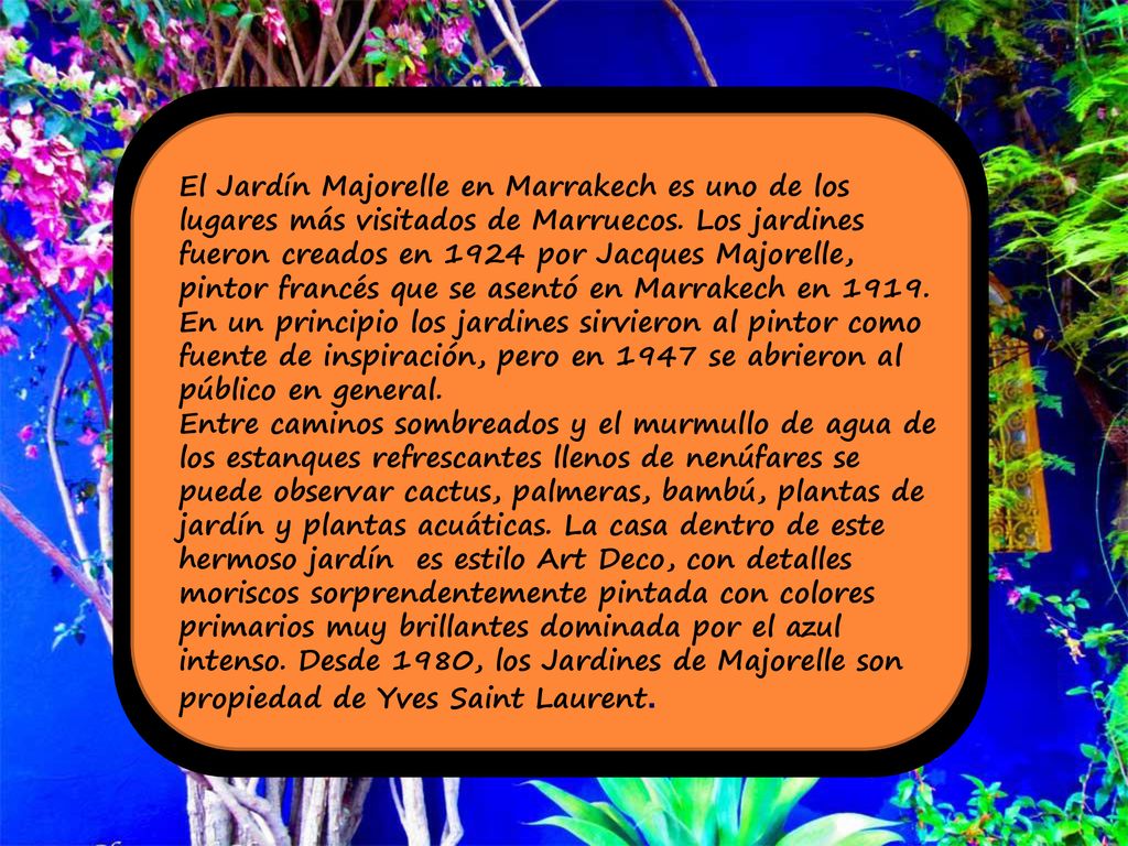 El Jardín Majorelle en Marrakech es uno de los lugares más visitados de Marruecos. Los jardines fueron creados en 1924 por Jacques Majorelle, pintor francés que se asentó en Marrakech en En un principio los jardines sirvieron al pintor como fuente de inspiración, pero en 1947 se abrieron al público en general.