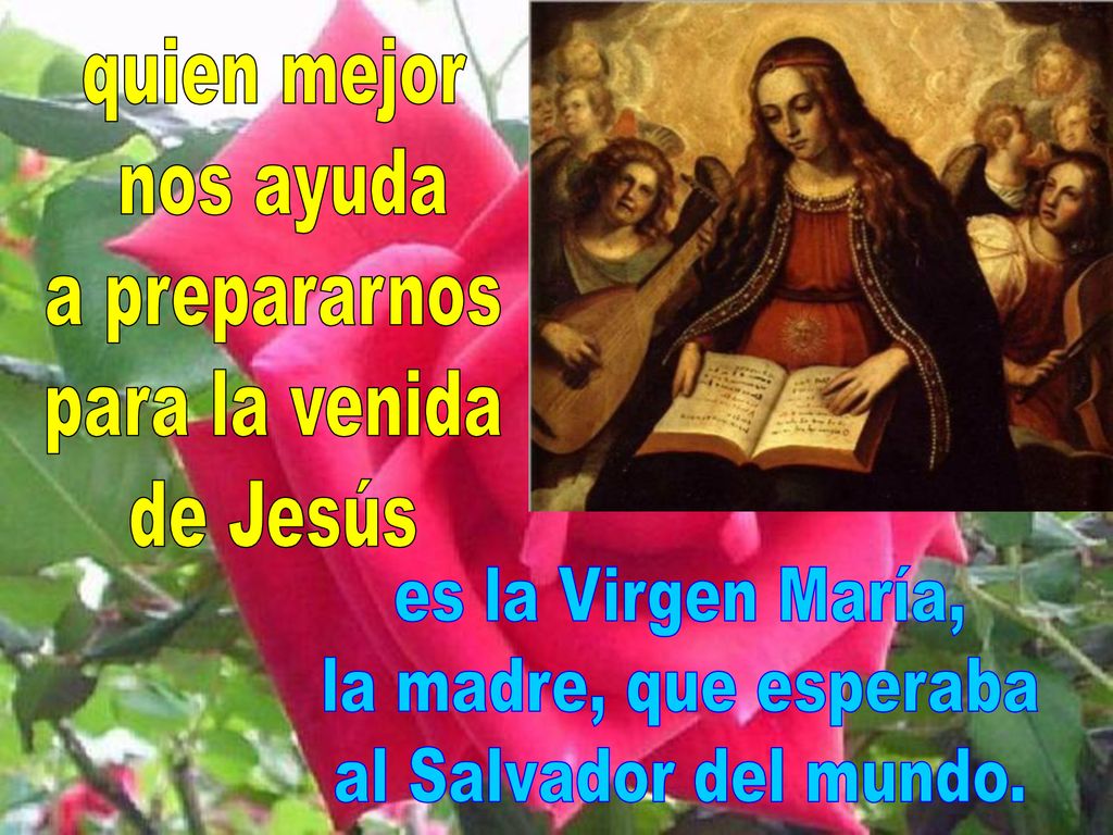 quien mejor nos ayuda. a prepararnos. para la venida. de Jesús. es la Virgen María, la madre, que esperaba.
