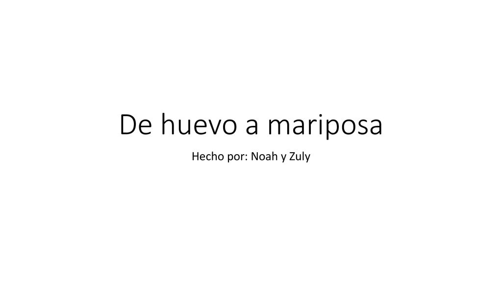 De huevo a mariposa Hecho por: Noah y Zuly