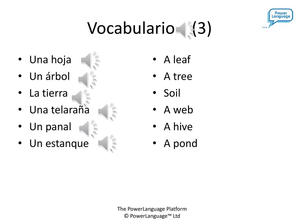 Vocabulario (3) Una hoja Un árbol La tierra Una telaraña Un panal