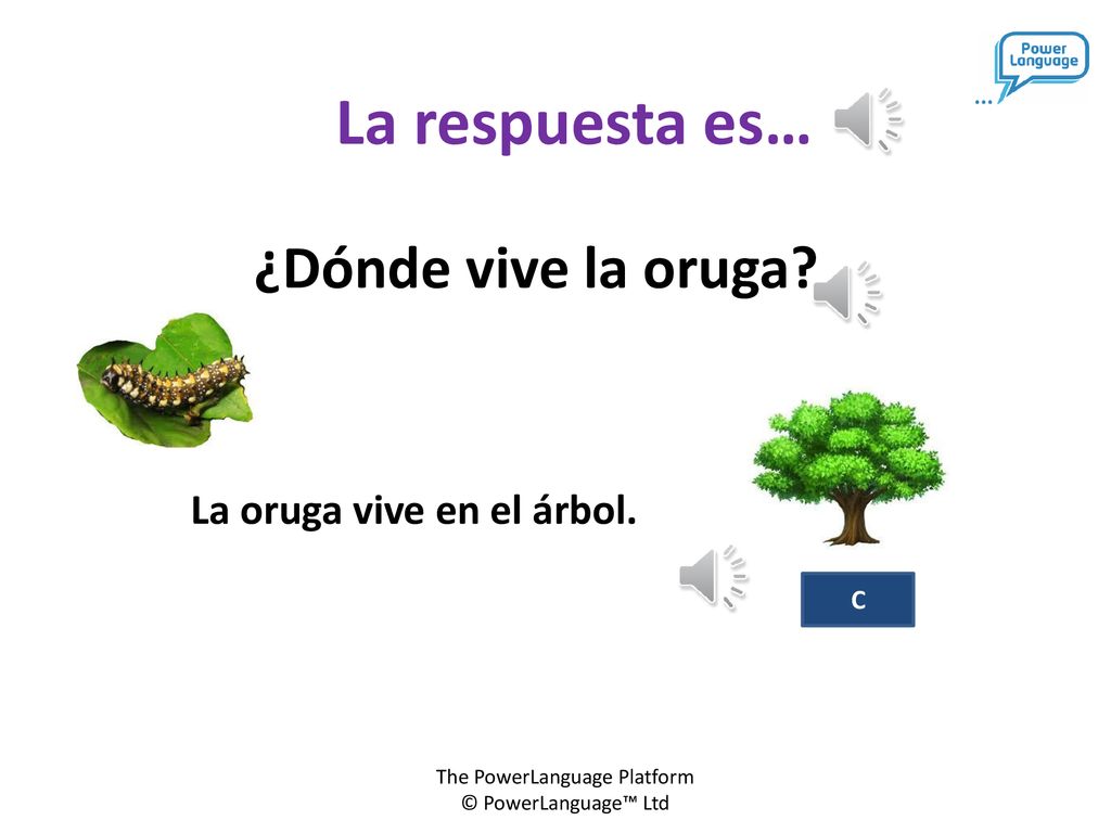 La respuesta es… ¿Dónde vive la oruga La oruga vive en el árbol. C