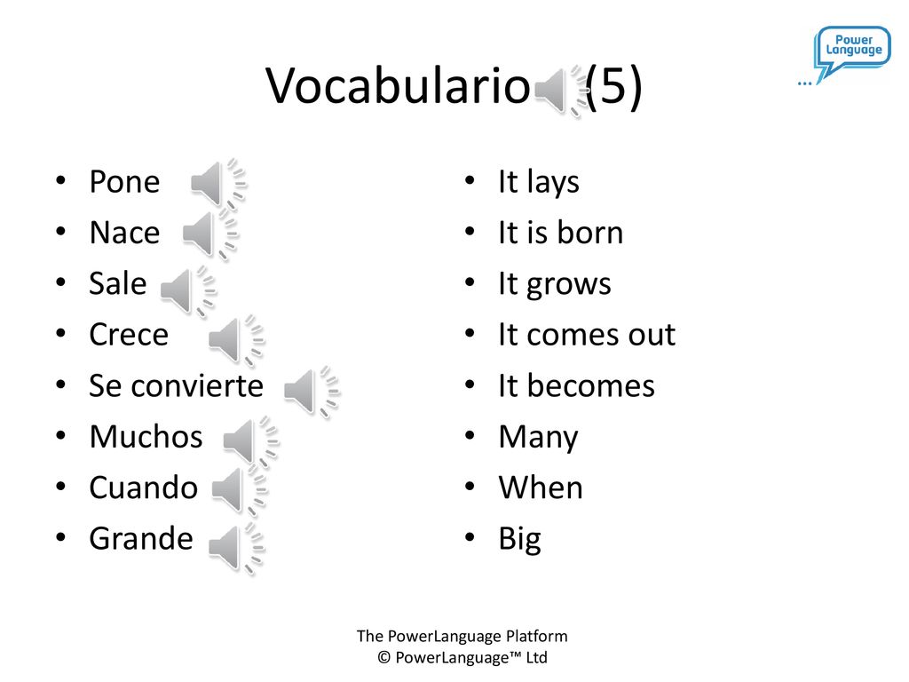 Vocabulario (5) Pone Nace Sale Crece Se convierte Muchos Cuando Grande