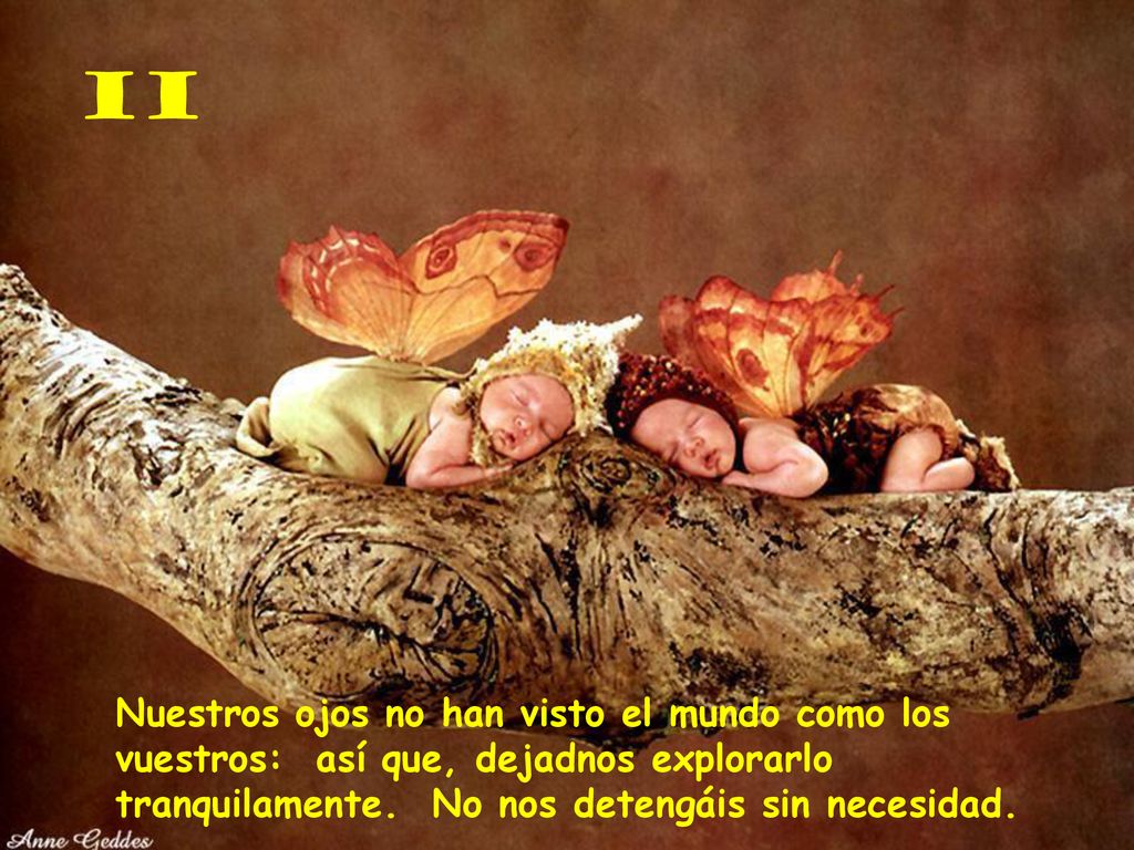 II Nuestros ojos no han visto el mundo como los vuestros: así que, dejadnos explorarlo tranquilamente.