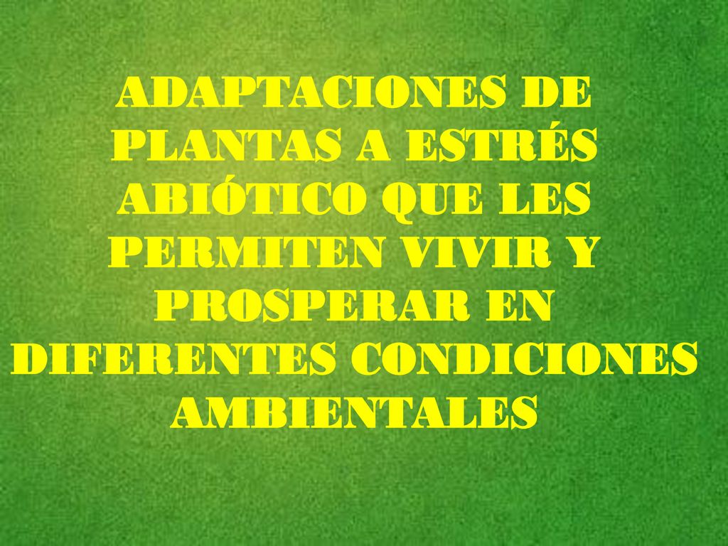 ADAPTACIONES DE PLANTAS A ESTRÉS ABIÓTICO QUE LES PERMITEN VIVIR Y PROSPERAR EN DIFERENTES CONDICIONES AMBIENTALES