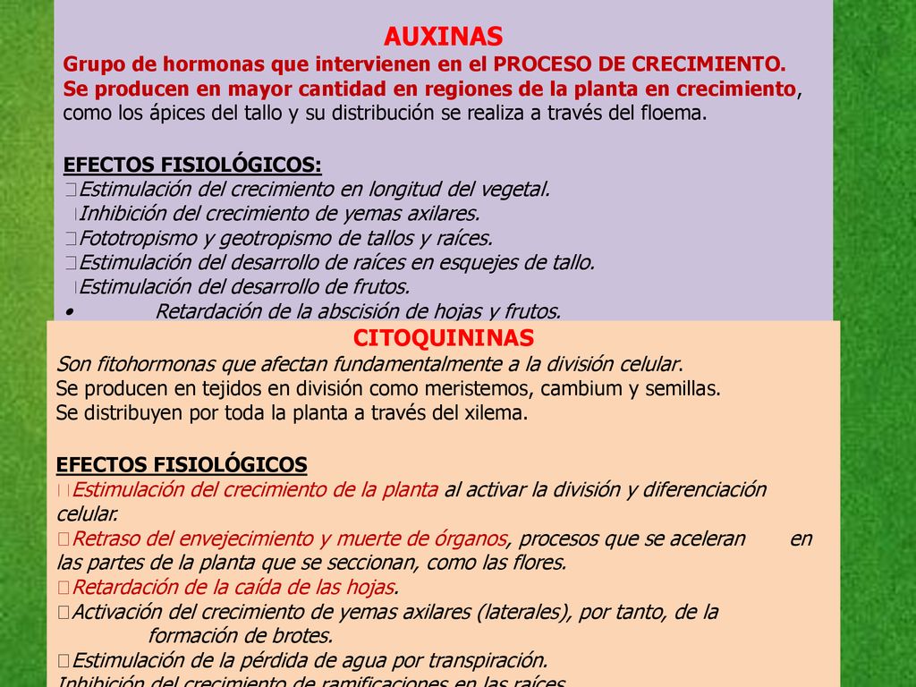 AUXINAS Grupo de hormonas que intervienen en el PROCESO DE CRECIMIENTO.