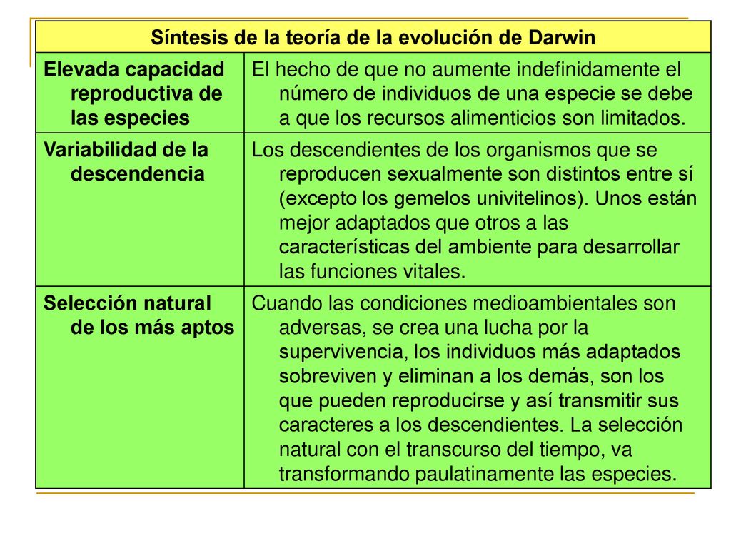 Síntesis de la teoría de la evolución de Darwin