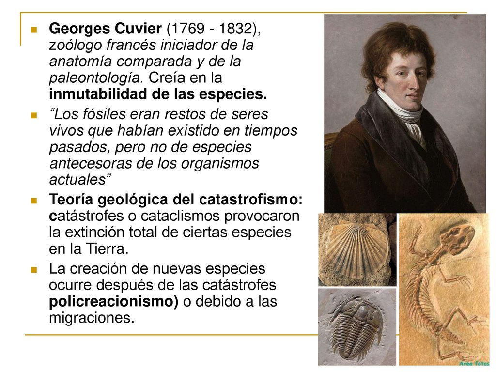 Georges Cuvier ( ), zoólogo francés iniciador de la anatomía comparada y de la paleontología. Creía en la inmutabilidad de las especies.