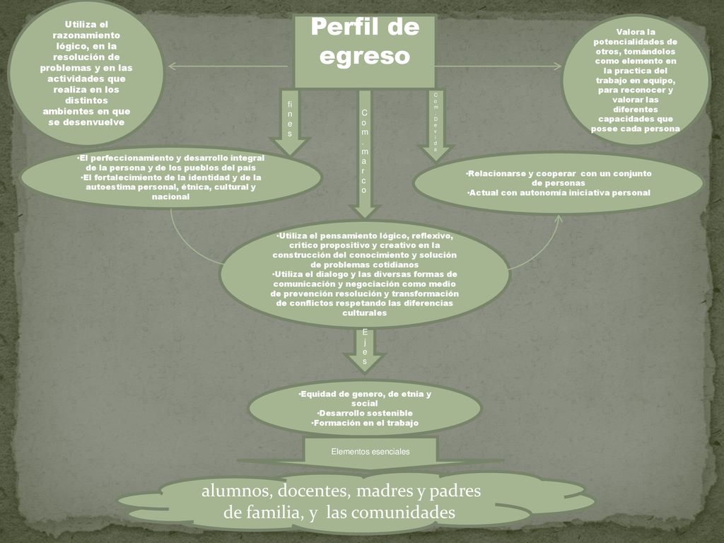 Utiliza el razonamiento lógico, en la resolución de problemas y en las actividades que realiza en los distintos ambientes en que se desenvuelve