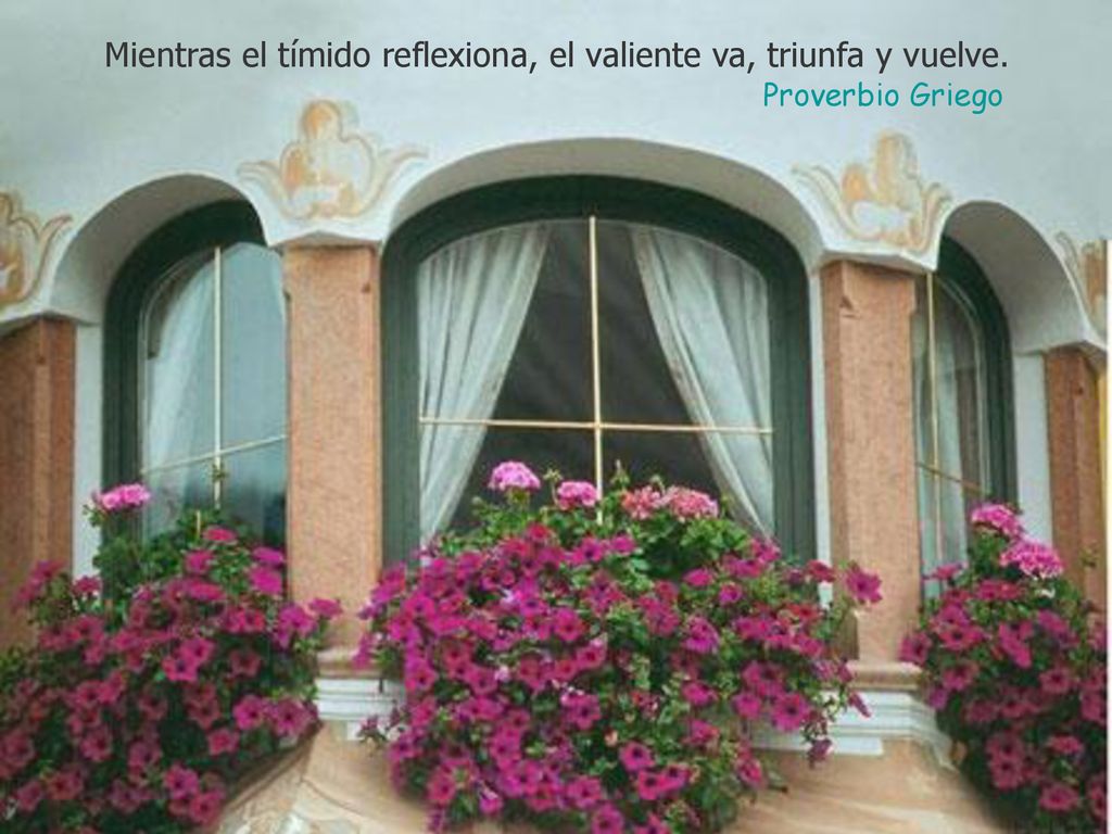 Mientras el tímido reflexiona, el valiente va, triunfa y vuelve.