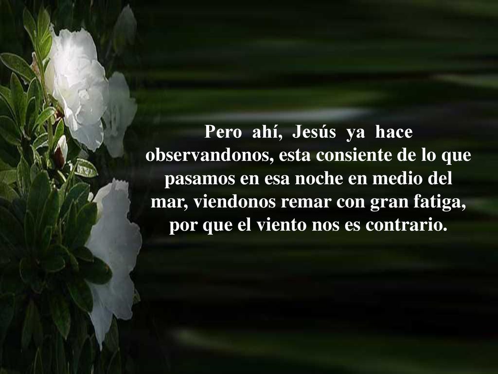 Pero ahí, Jesús ya hace observandonos, esta consiente de lo que pasamos en esa noche en medio del mar, viendonos remar con gran fatiga, por que el viento nos es contrario.