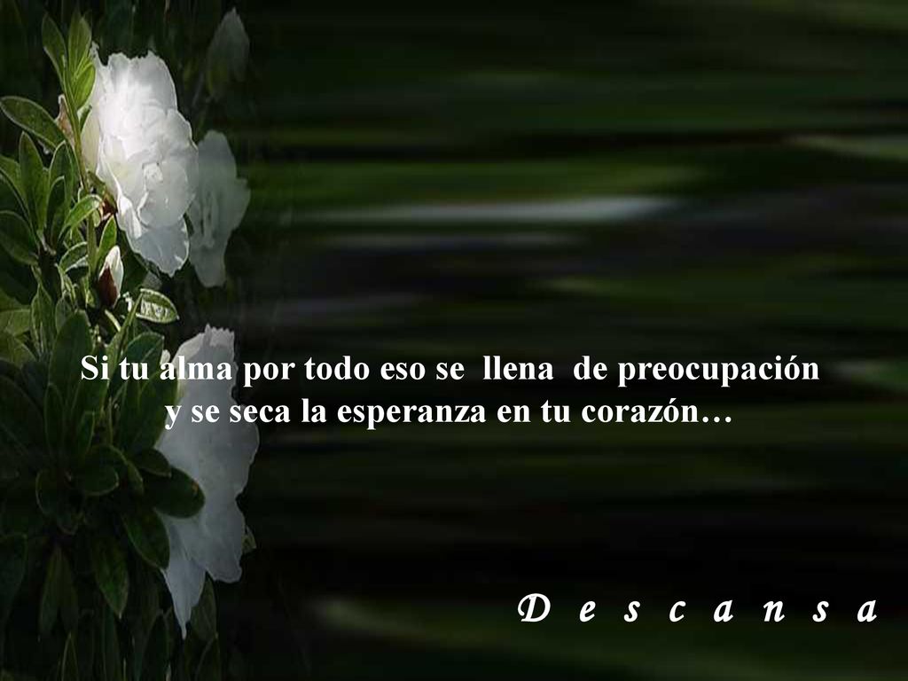 D e s c a n s a Si tu alma por todo eso se llena de preocupación