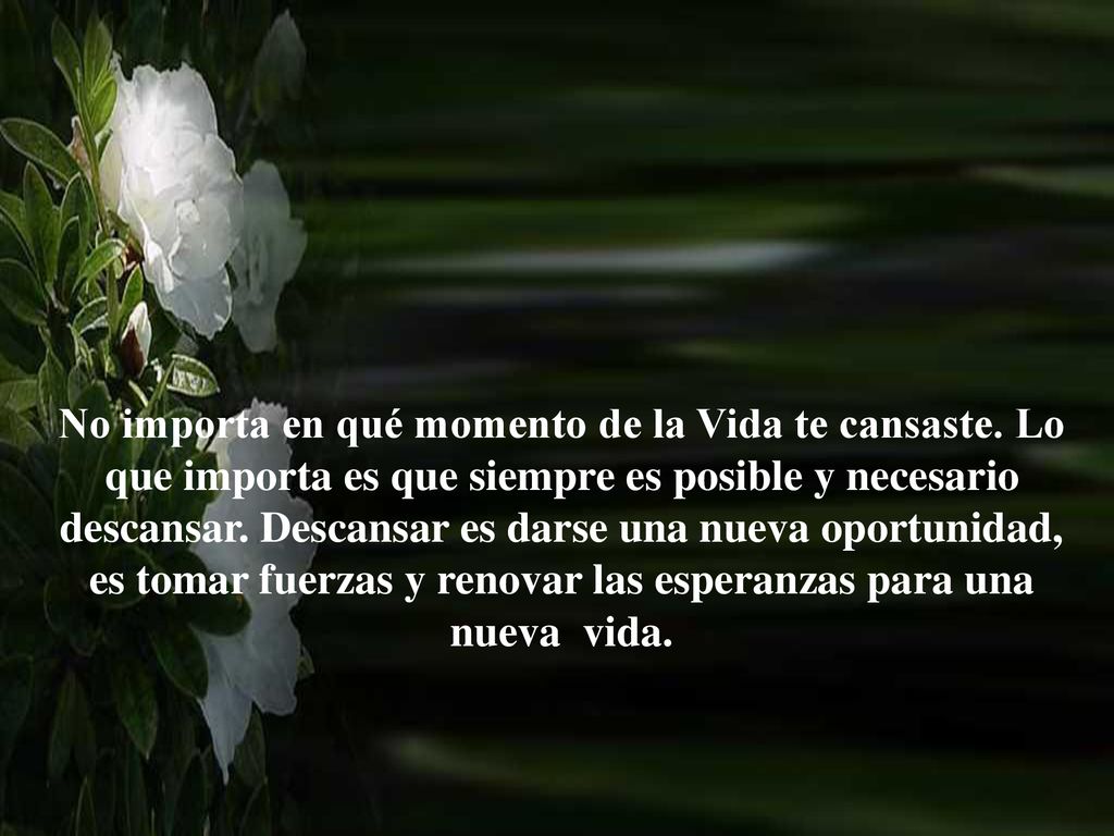 No importa en qué momento de la Vida te cansaste