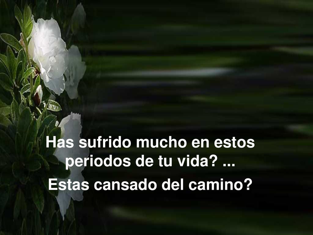 Has sufrido mucho en estos periodos de tu vida ...