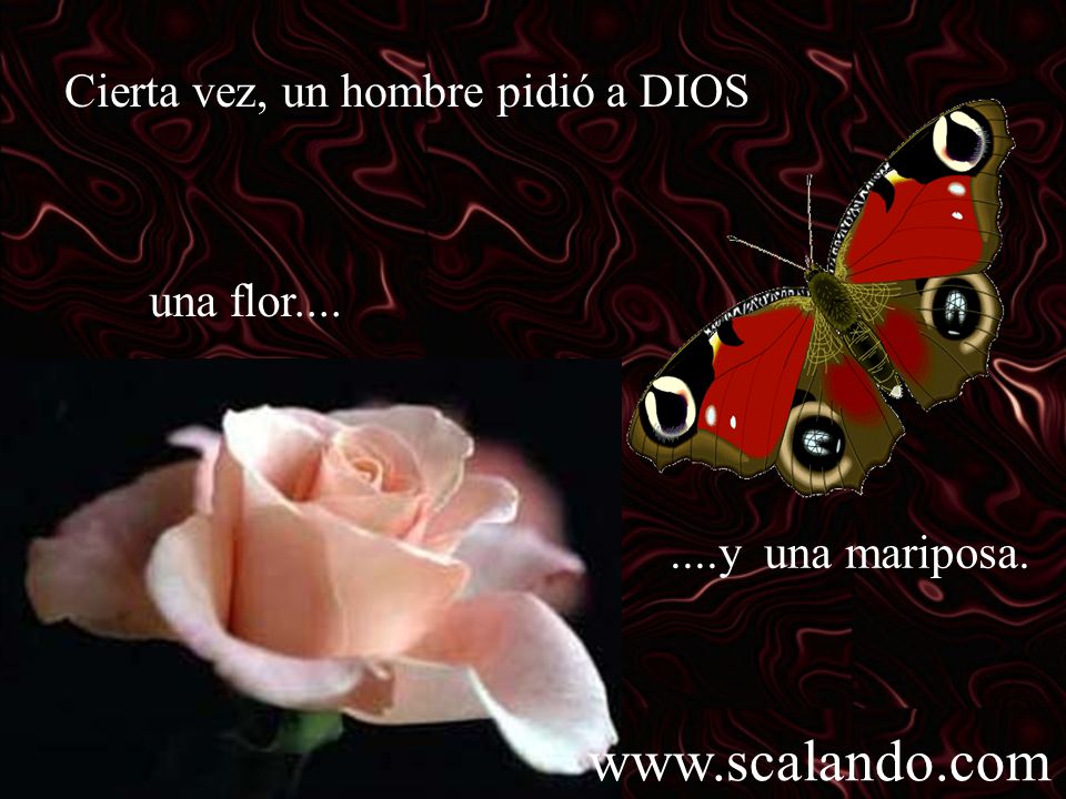 Cierta vez, un hombre pidió a DIOS una flor....