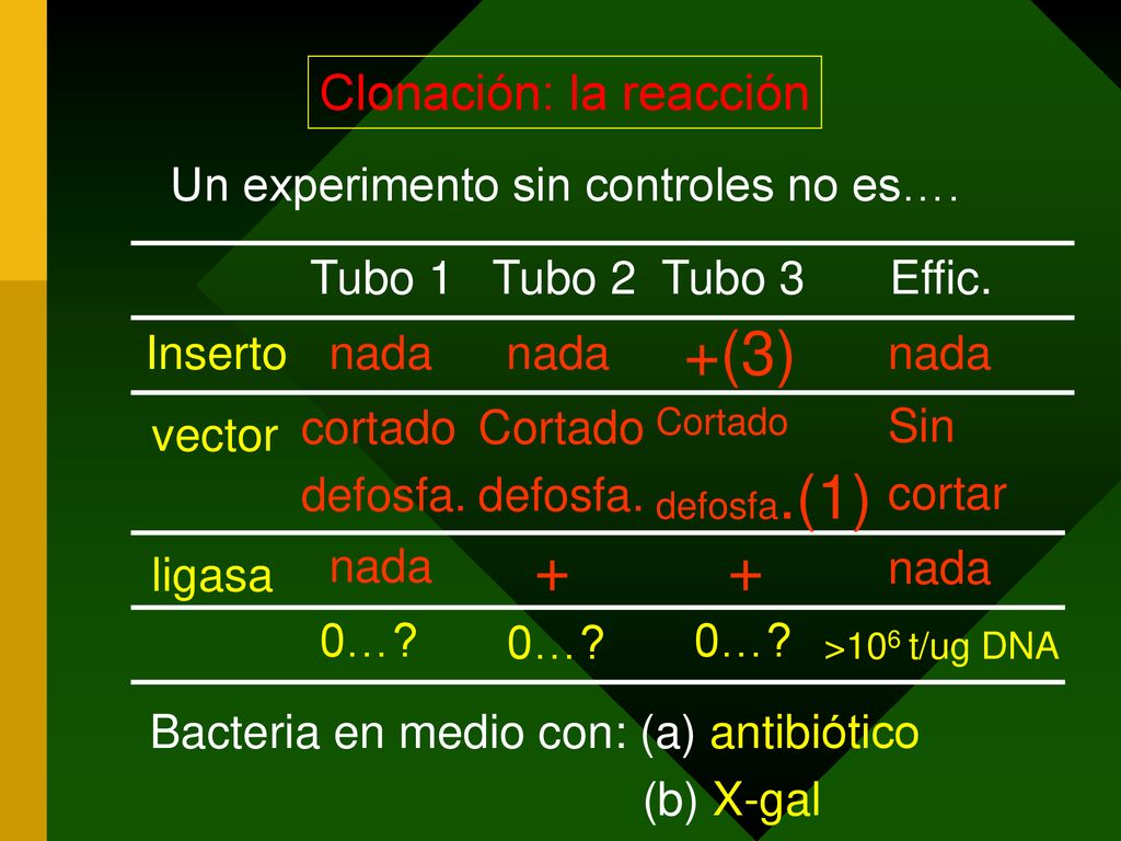 +(3) + + Clonación: la reacción Un experimento sin controles no es….