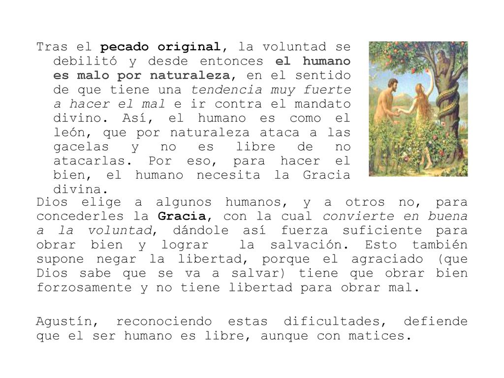 Tras el pecado original, la voluntad se debilitó y desde entonces el humano es malo por naturaleza, en el sentido de que tiene una tendencia muy fuerte a hacer el mal e ir contra el mandato divino. Así, el humano es como el león, que por naturaleza ataca a las gacelas y no es libre de no atacarlas. Por eso, para hacer el bien, el humano necesita la Gracia divina.