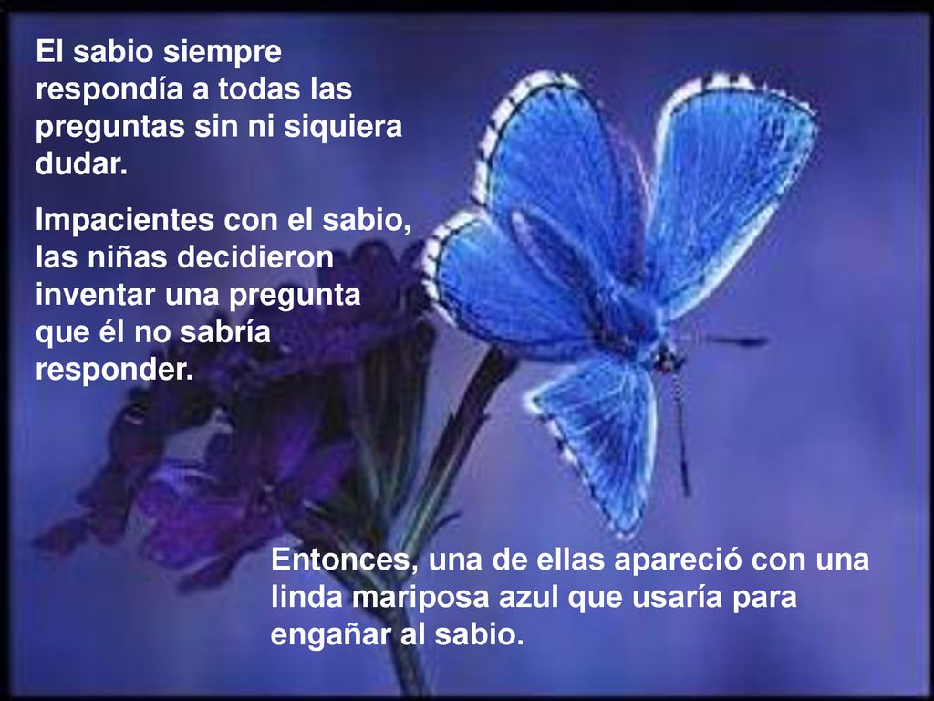 El sabio siempre respondía a todas las preguntas sin ni siquiera dudar.