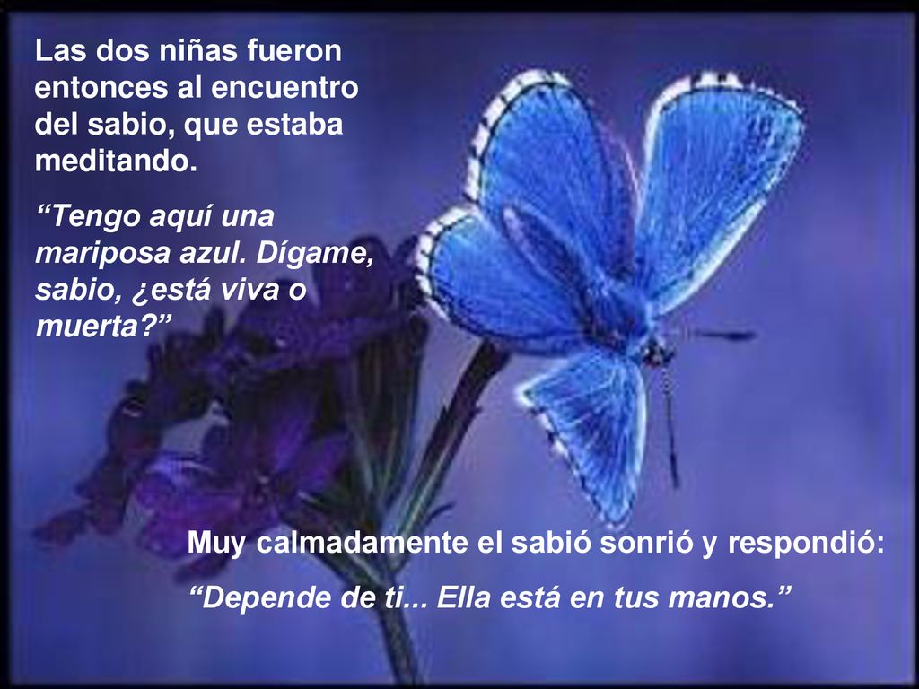 Las dos niñas fueron entonces al encuentro del sabio, que estaba meditando.
