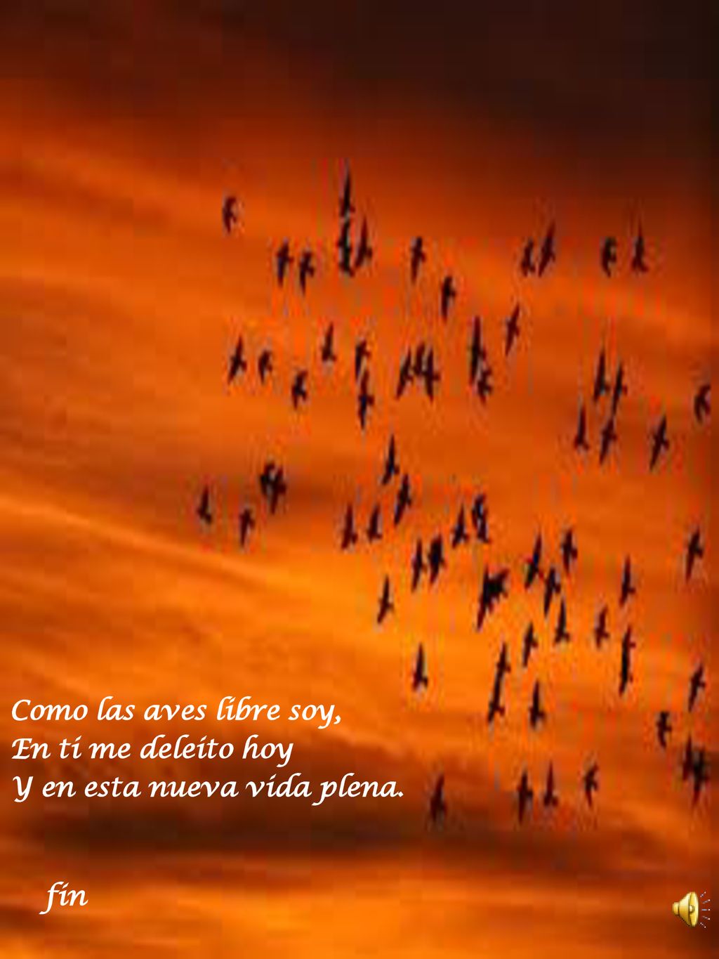Como las aves libre soy, En ti me deleito hoy Y en esta nueva vida plena. fin