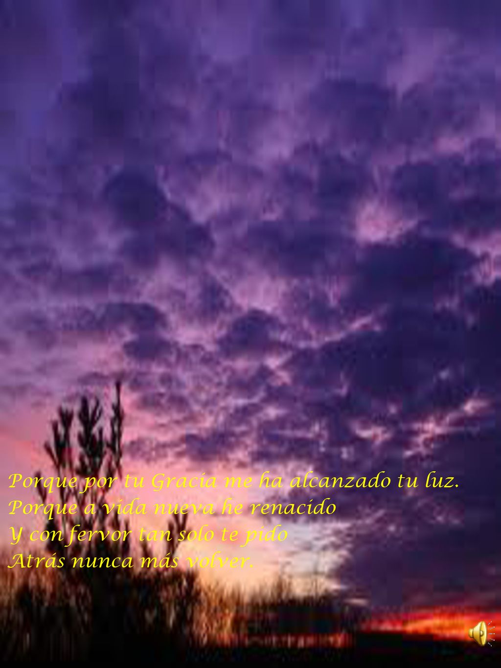 Porque por tu Gracia me ha alcanzado tu luz.