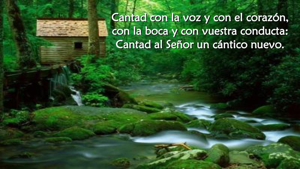 Cantad con la voz y con el corazón,