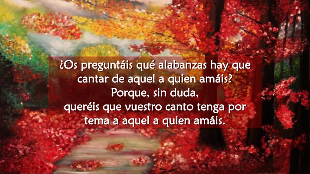 ¿Os preguntáis qué alabanzas hay que cantar de aquel a quien amáis